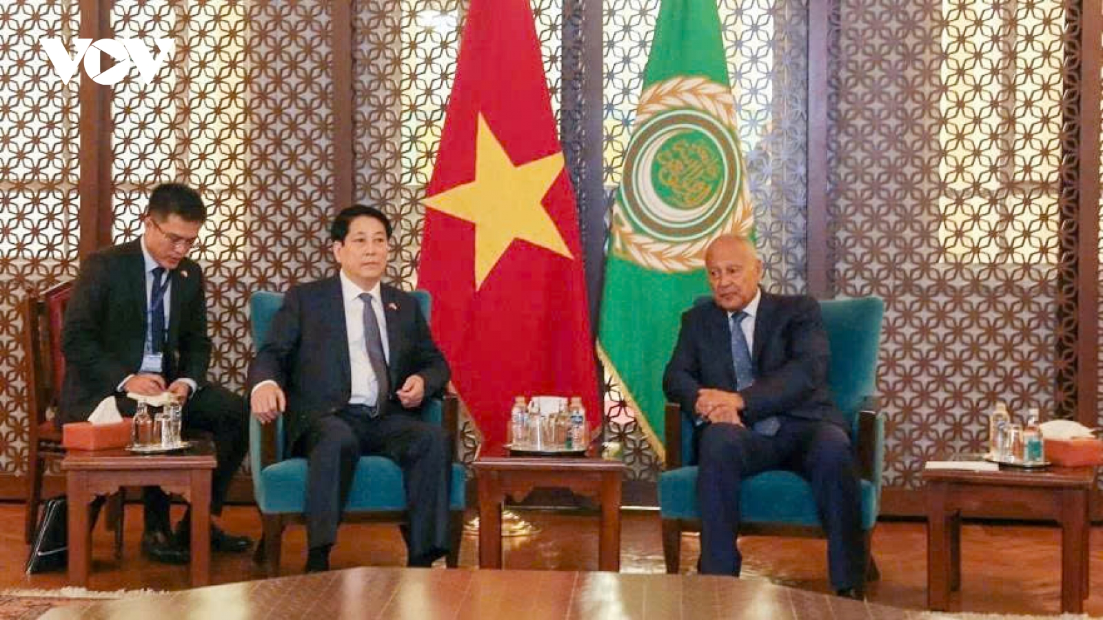 President Luong Cuong meets with Arab League leader Ahmed Aboul Gheit